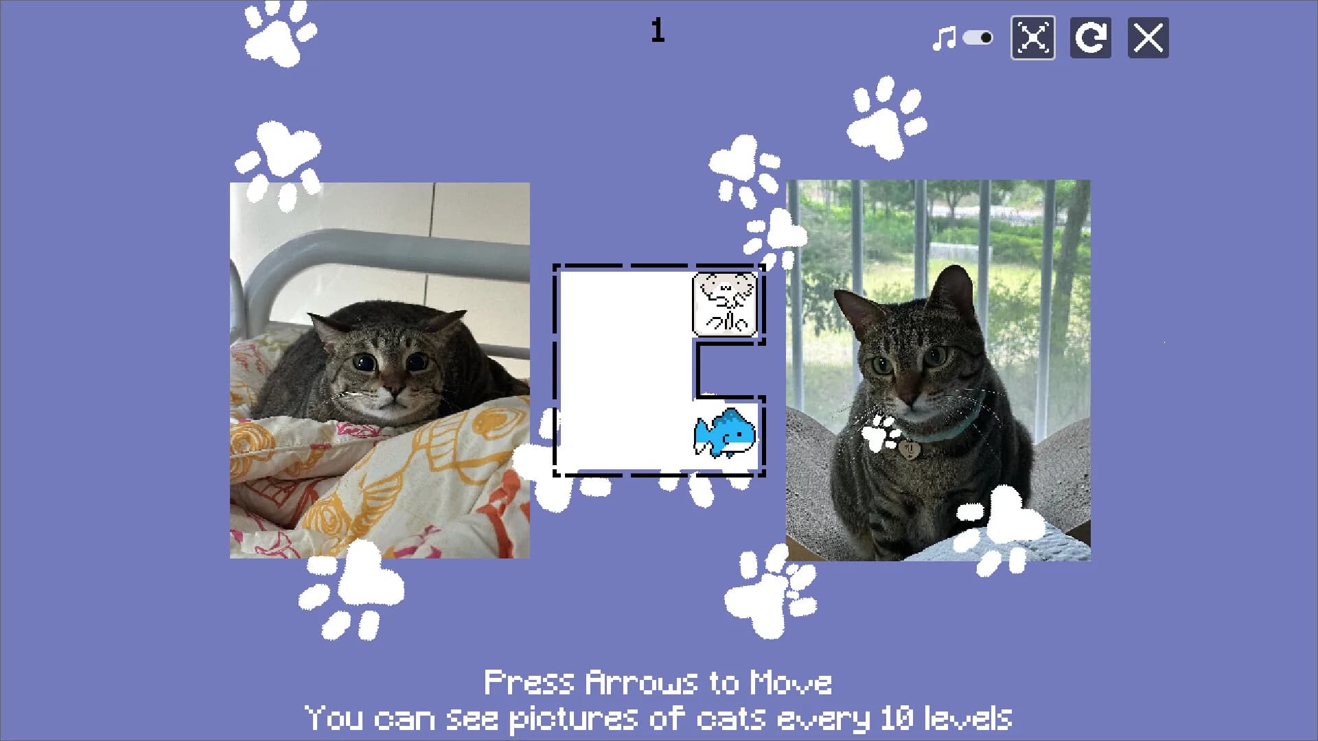 JustWatchMyCat görsel 2
