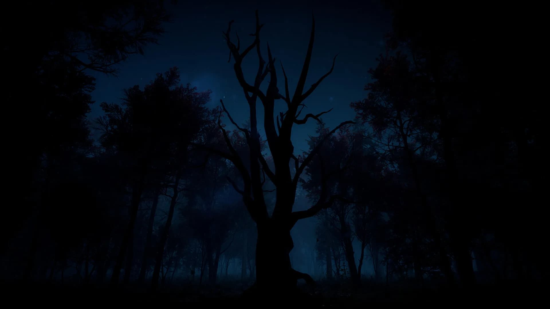 Slender: The Arrival görsel 9