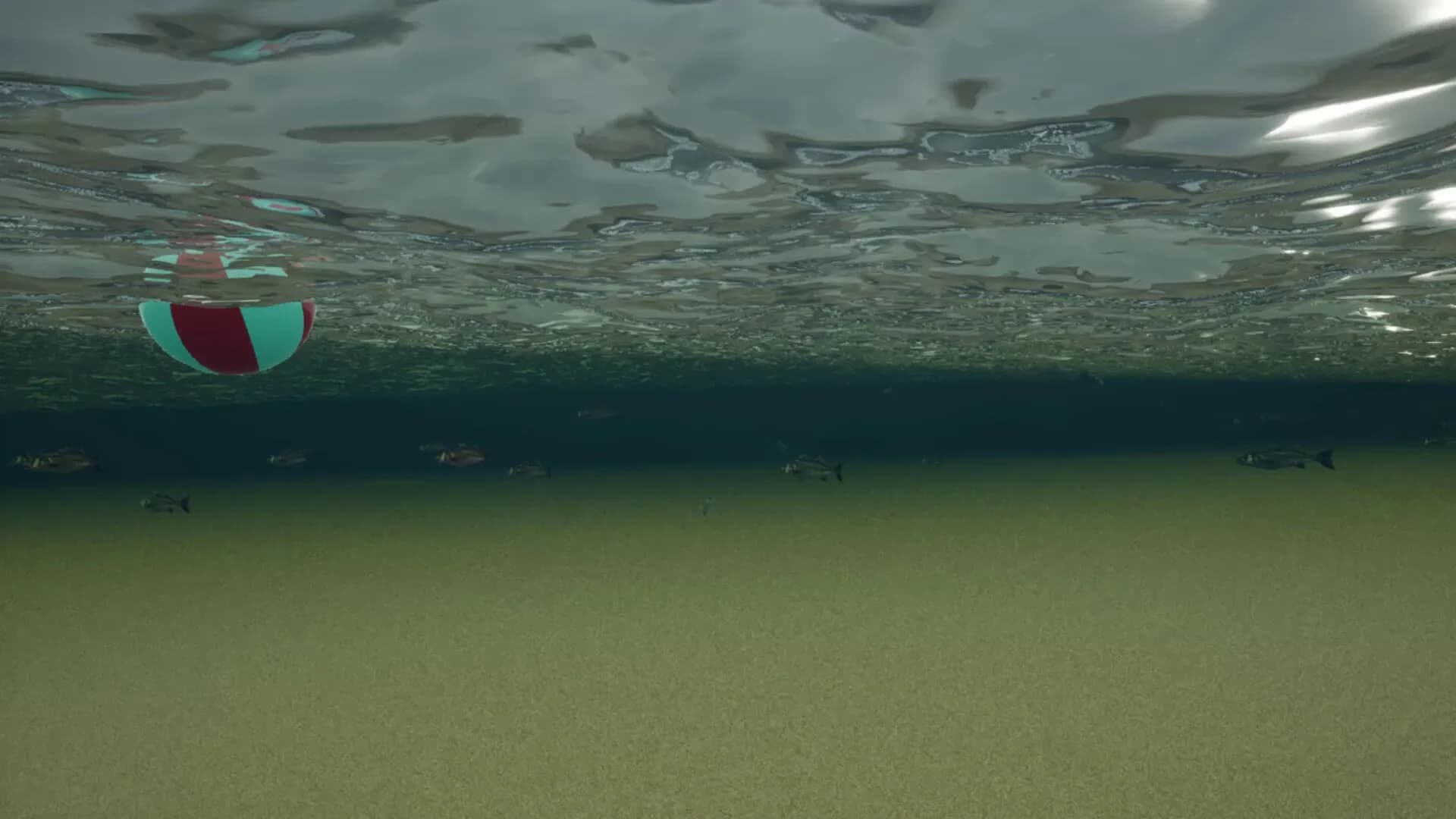 King Crab görsel 8