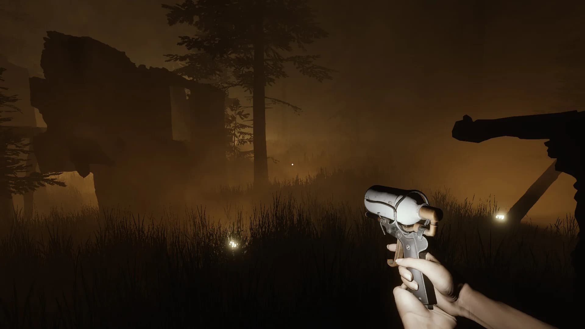 Sylvio: Black Waters görsel 9