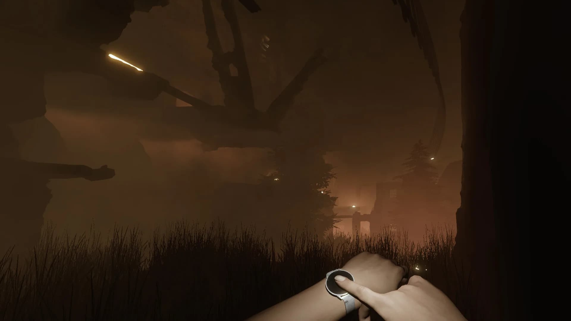 Sylvio: Black Waters görsel 10