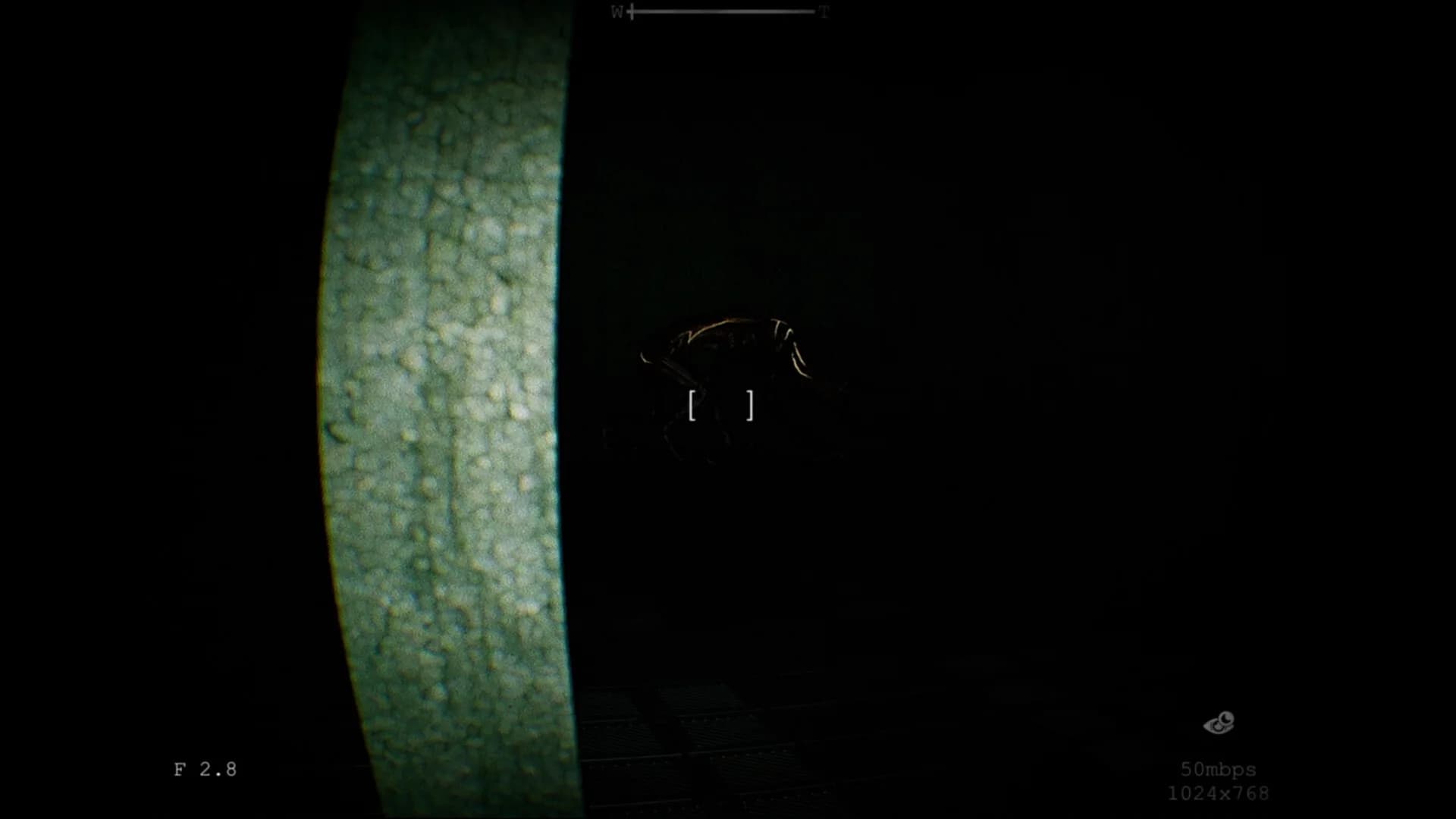 SCP: Contamination görsel 4