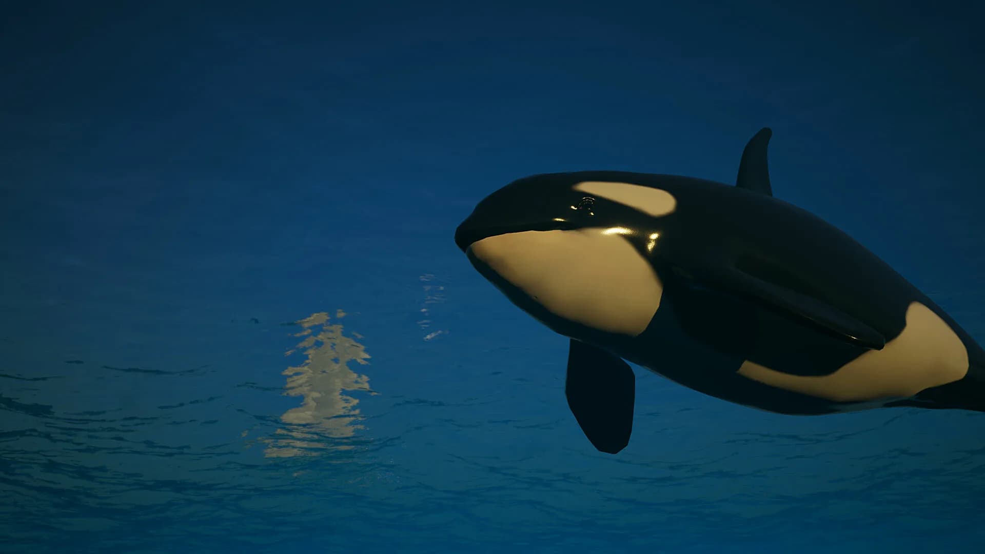 Get Them Boats: Orca Revenge görsel 5