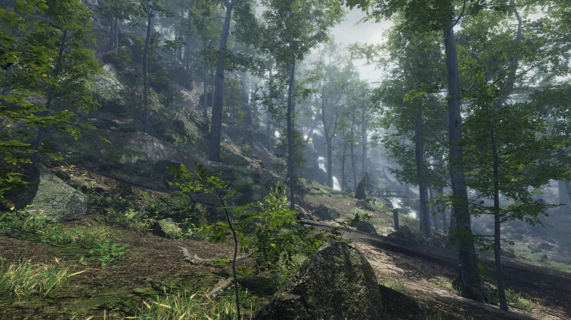 Go Outside görsel 2