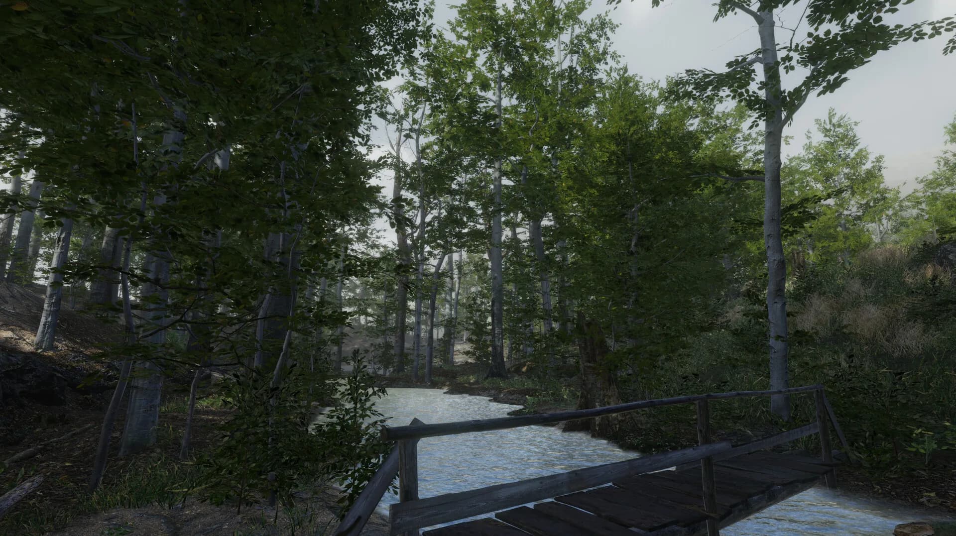 Go Outside görsel 7