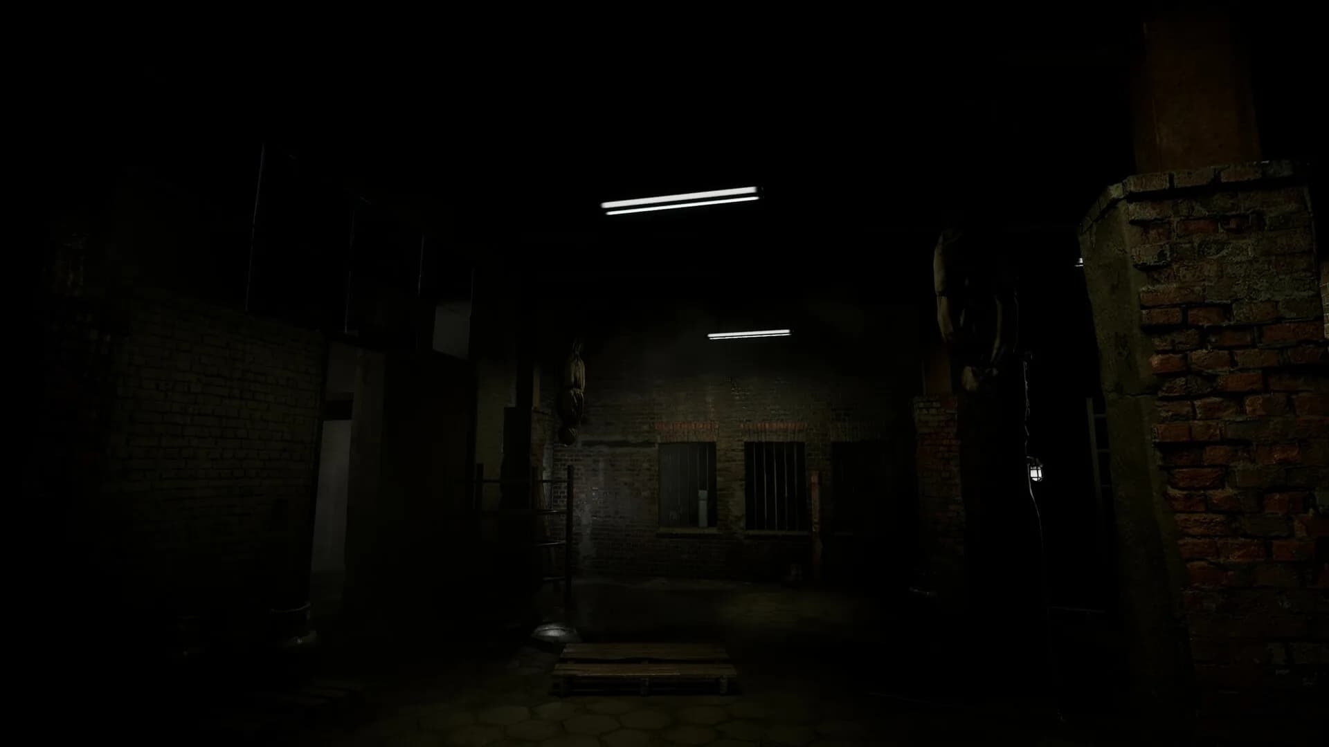 Entities görsel 5