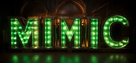 MIMIC görsel 1