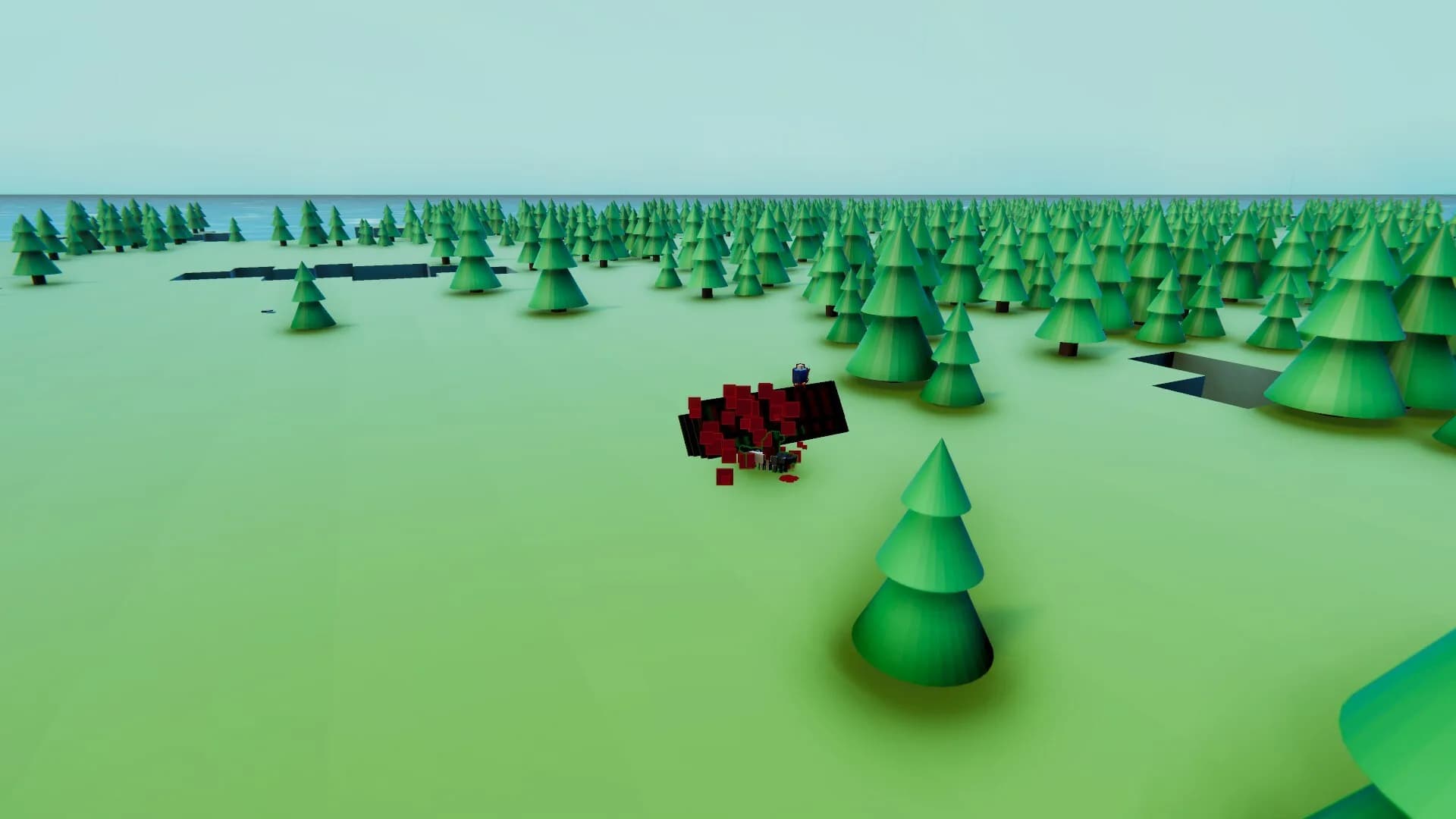 Island Master görsel 7