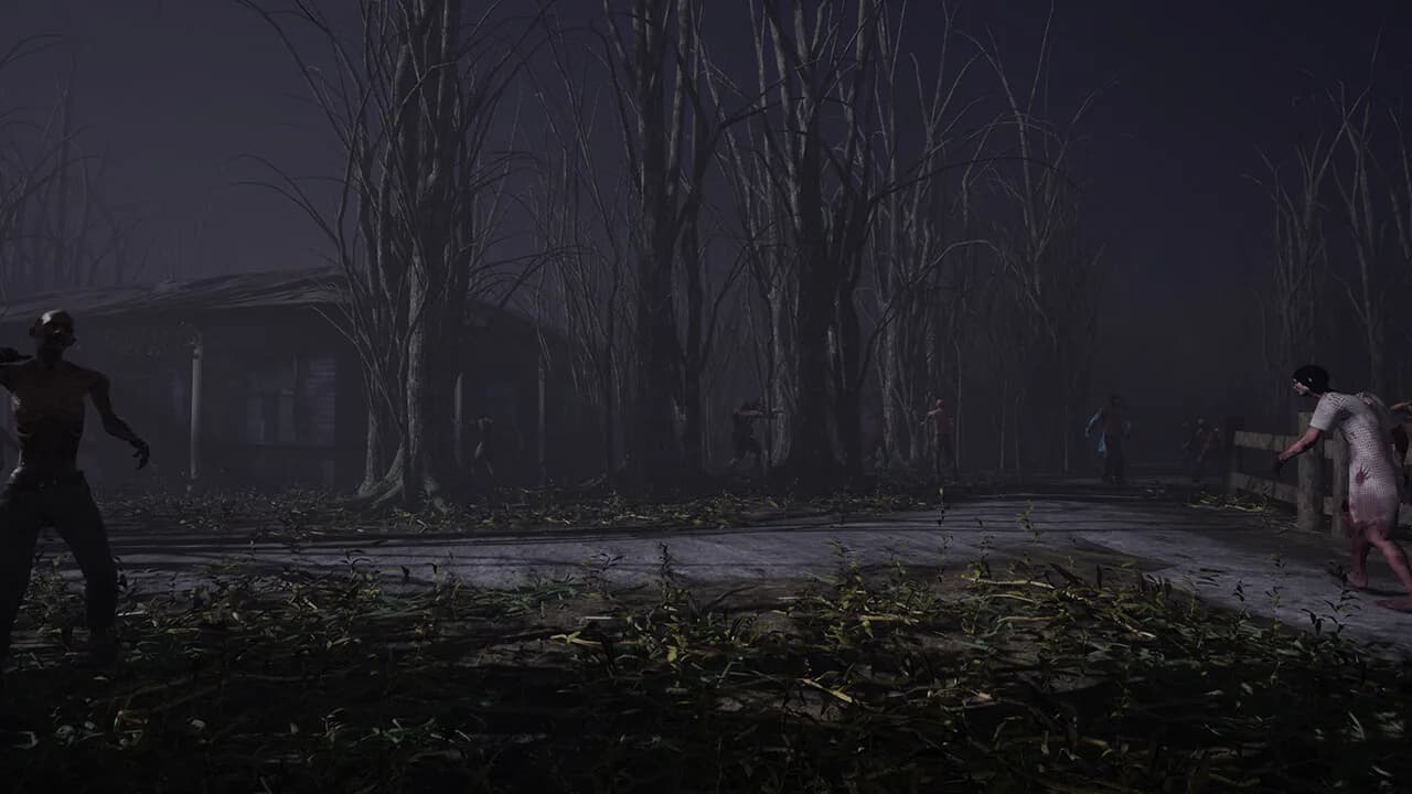 Limsod görsel 2