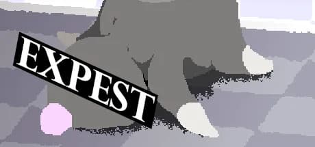 EXPEST görsel 1