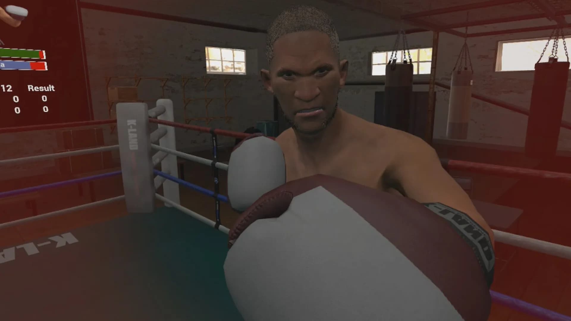 True Boxing VR görsel 3