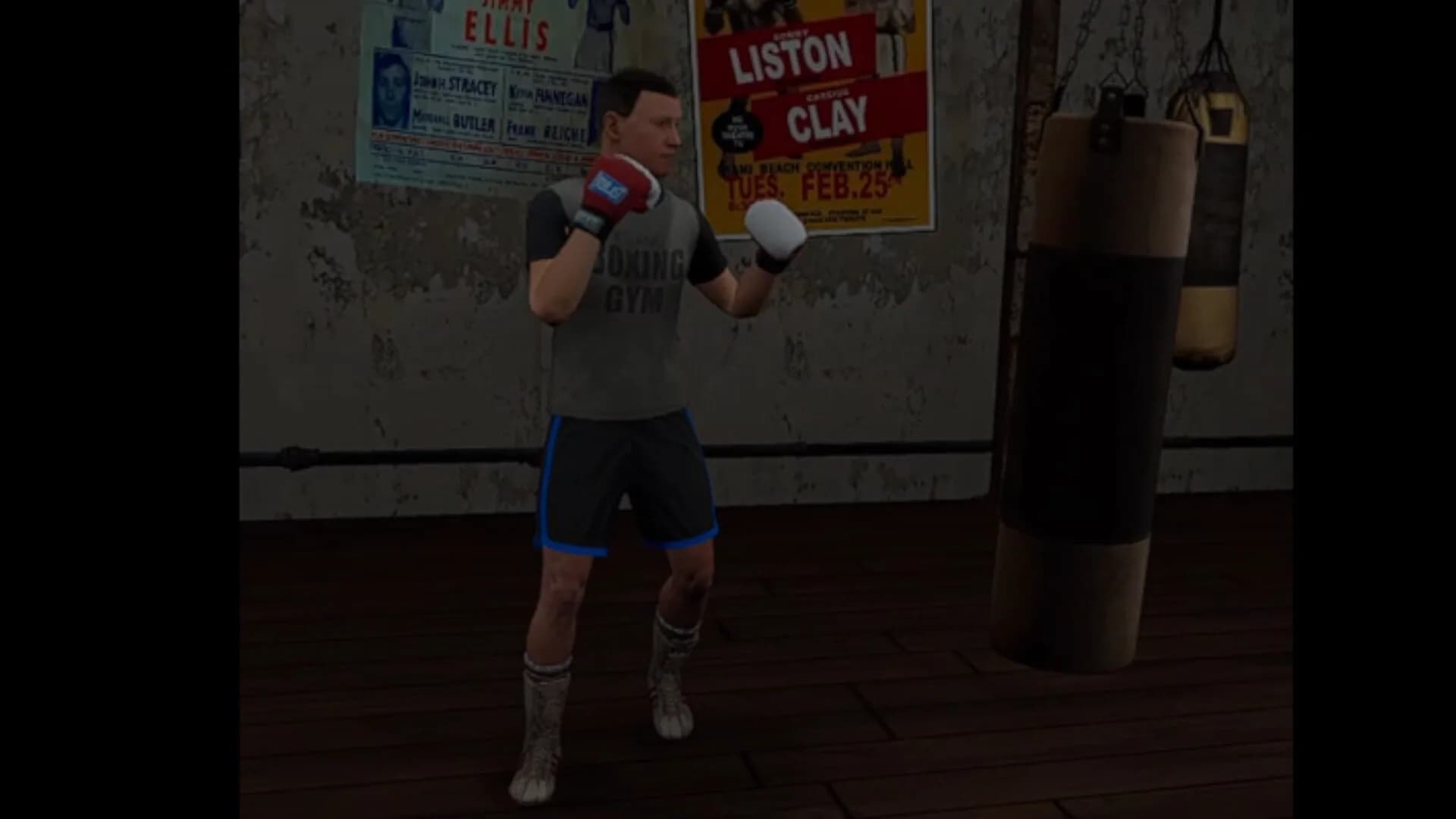 True Boxing VR görsel 5