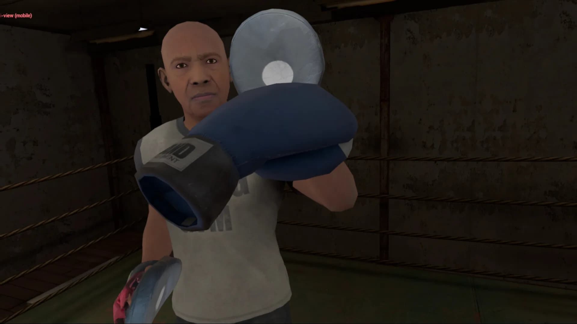 True Boxing VR görsel 6