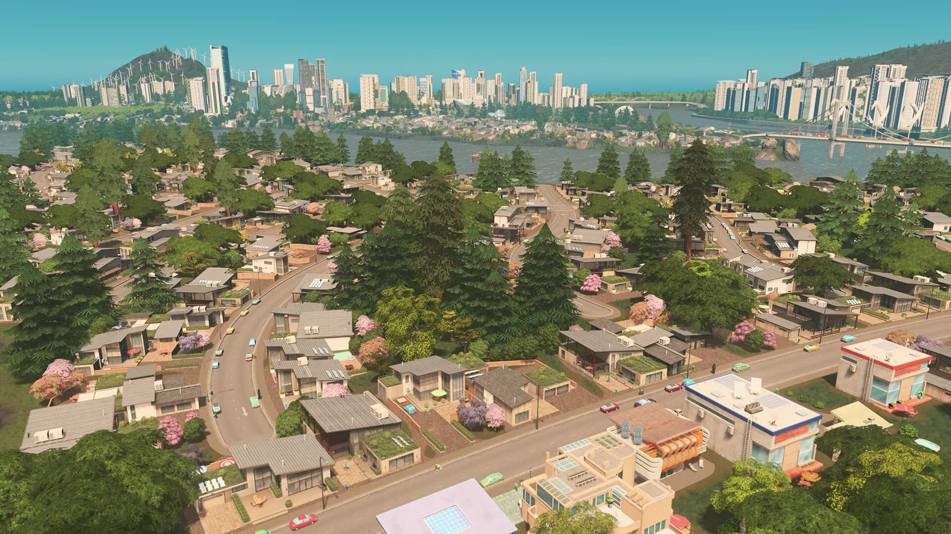 Cities: Skylines görsel 2