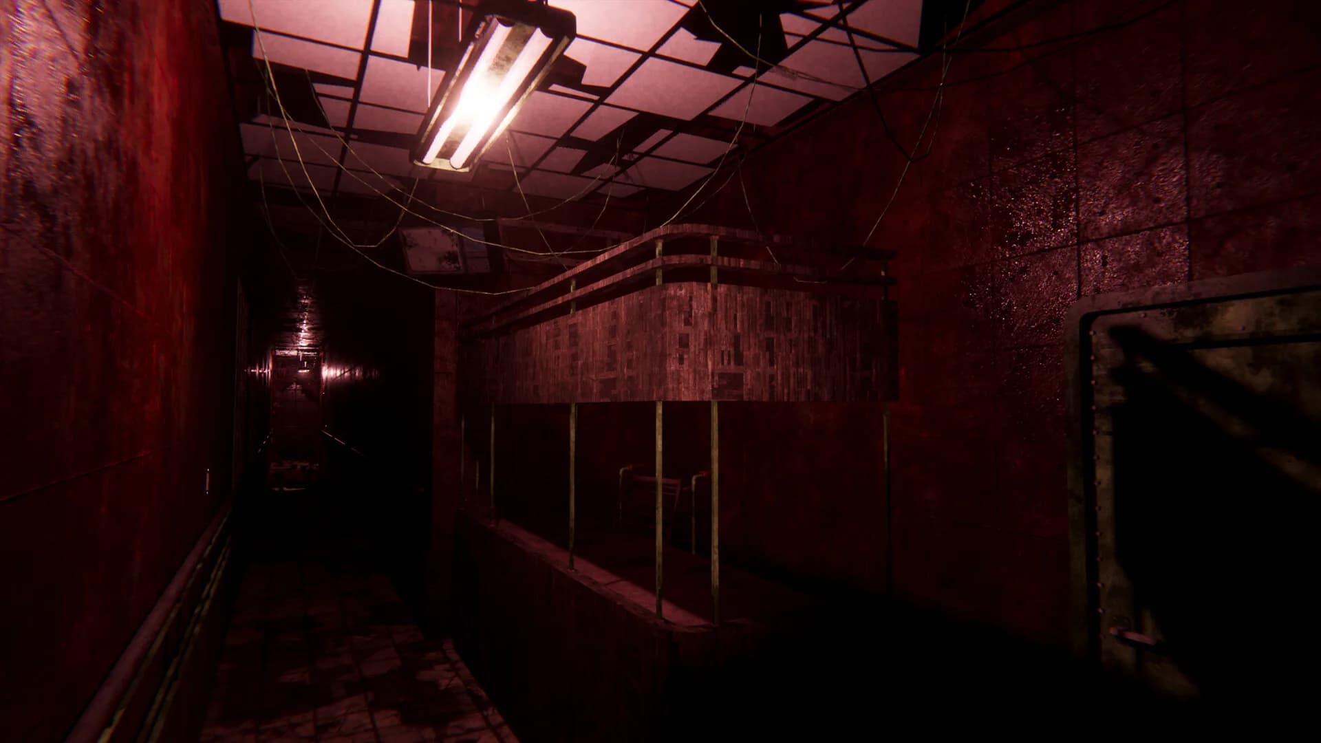 Sorrow Asylum 2 görsel 2