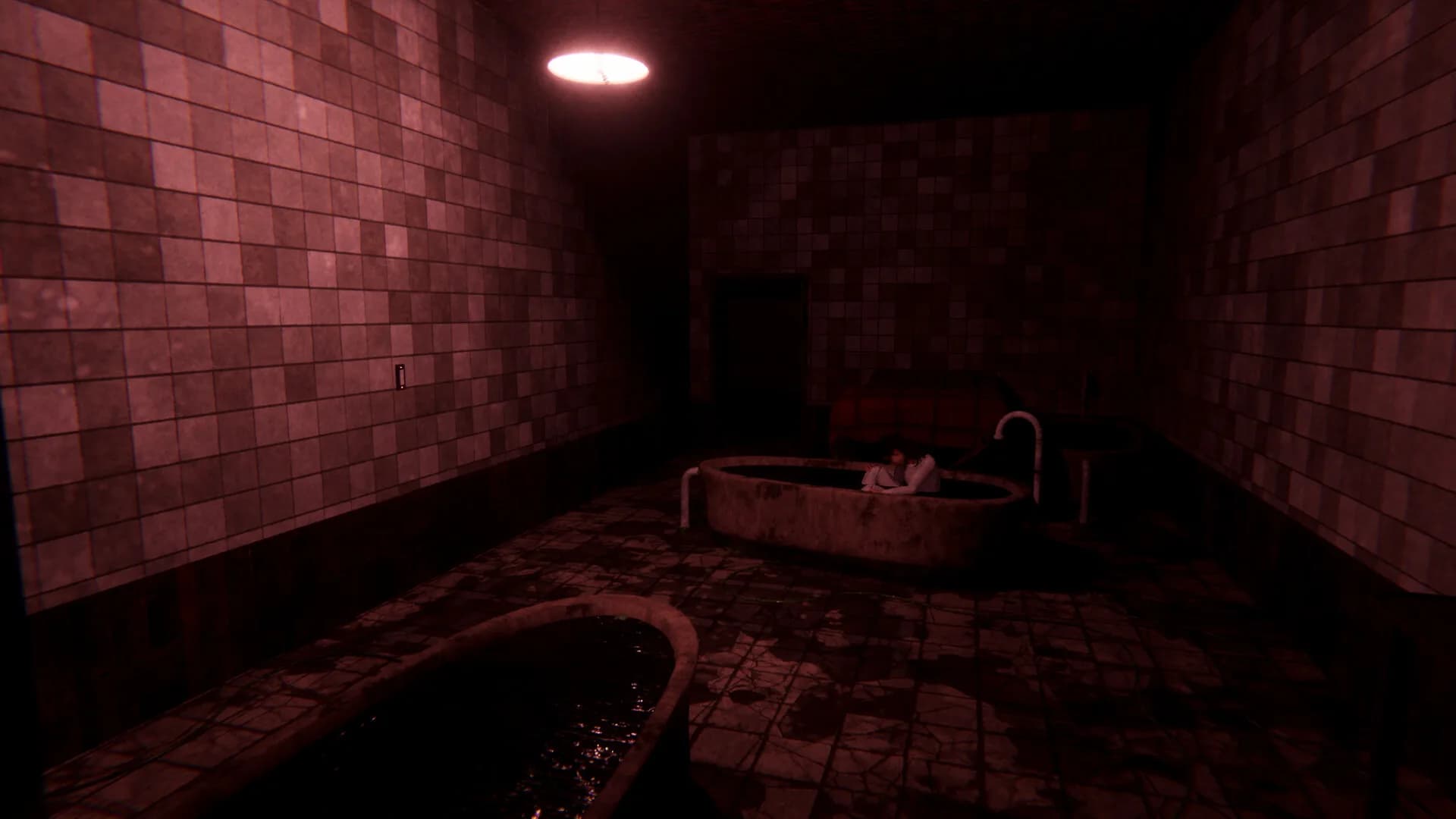 Sorrow Asylum 2 görsel 7