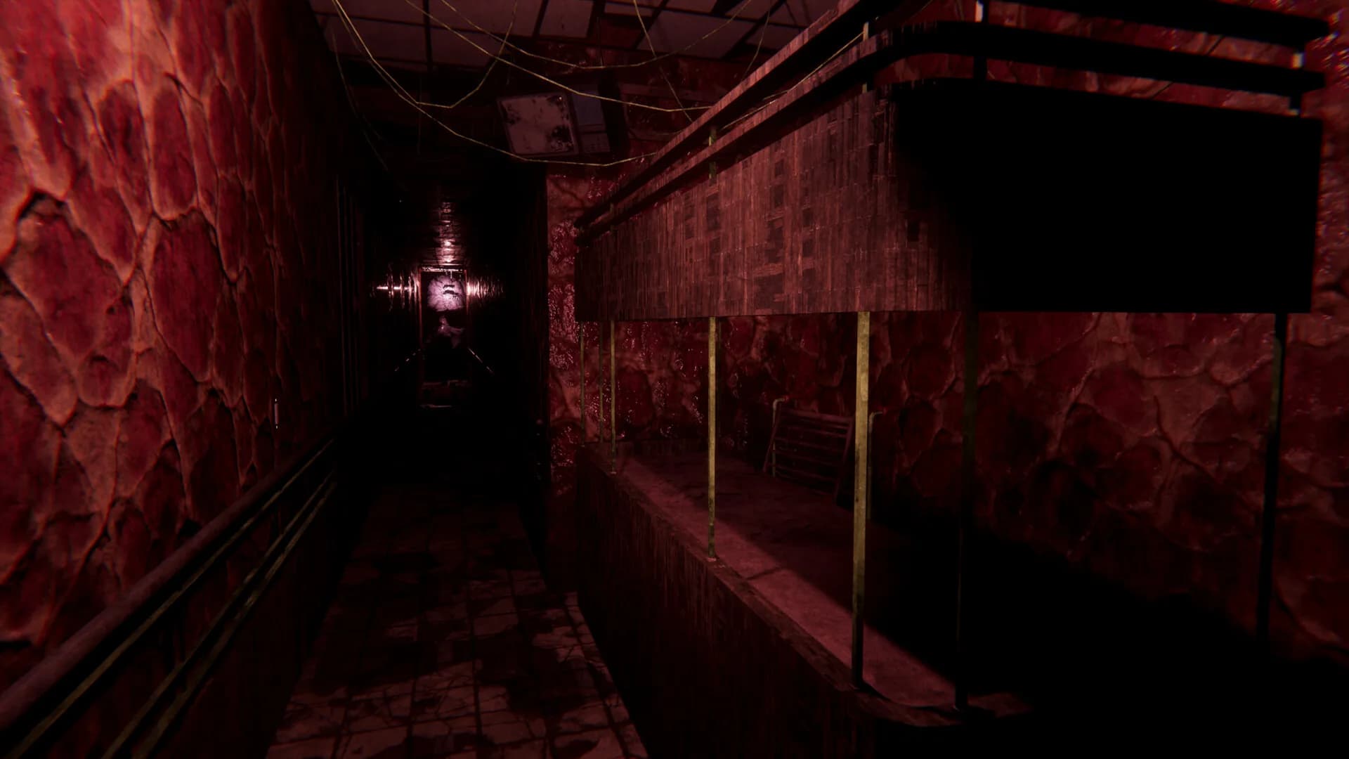Sorrow Asylum 2 görsel 9