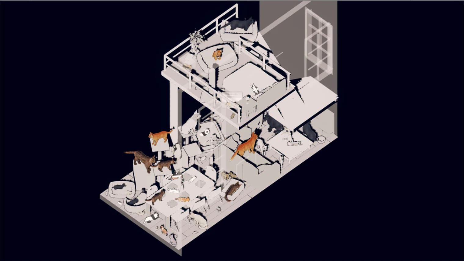 猫咪公寓 görsel 5