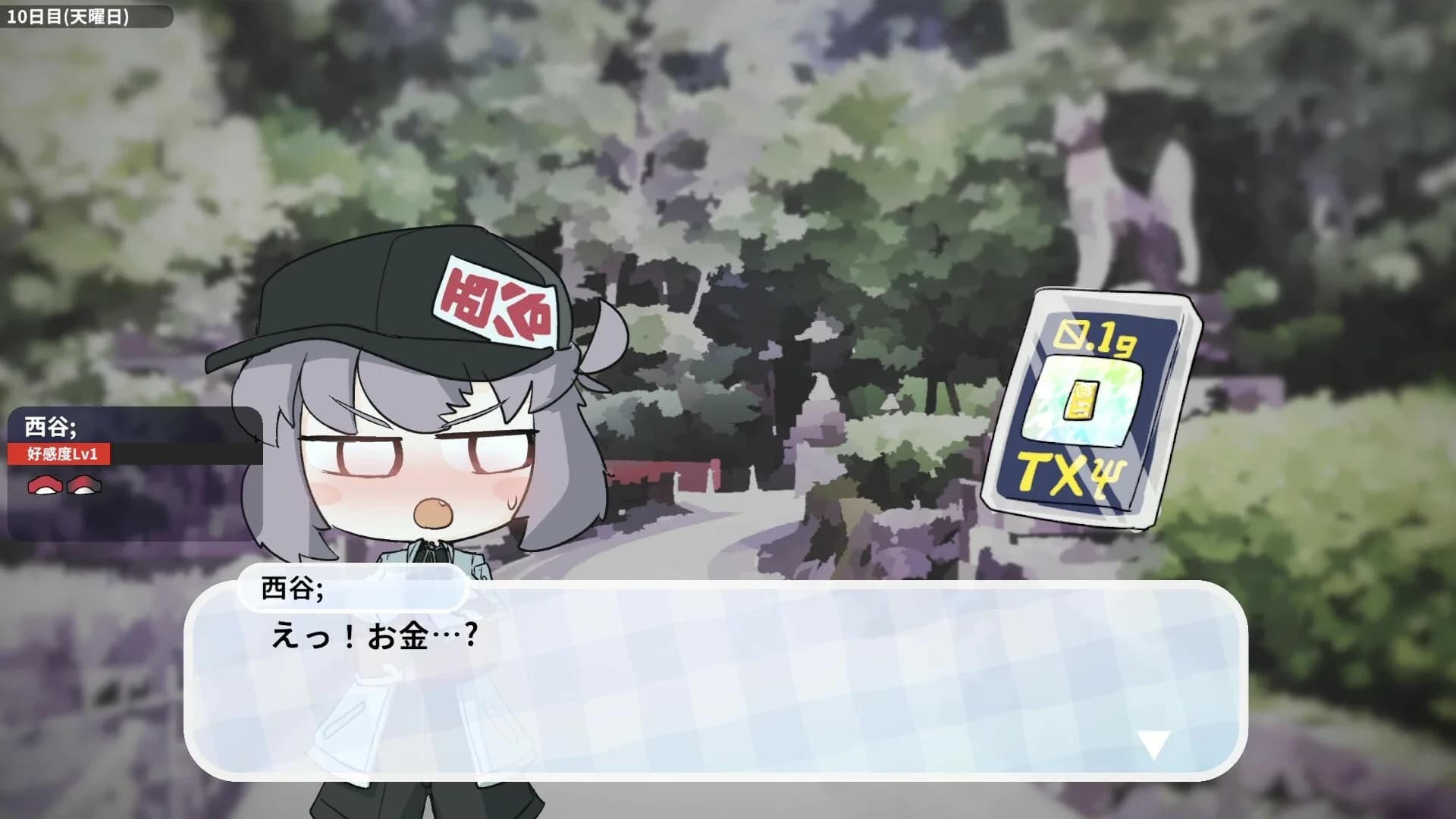 女装フィッシング görsel 8