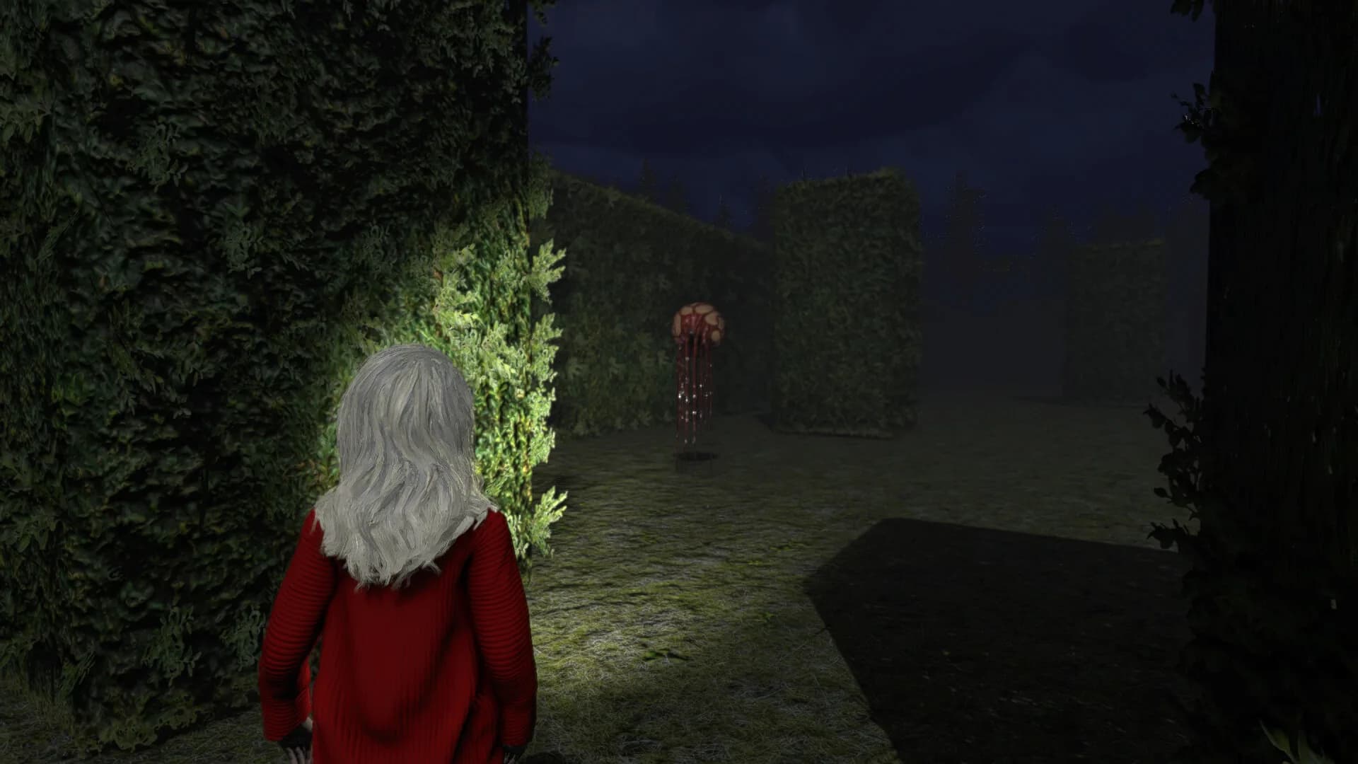 The Darkened Halls görsel 9