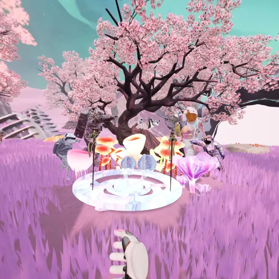 星际岸VR: 生命启迪计划 görsel 8