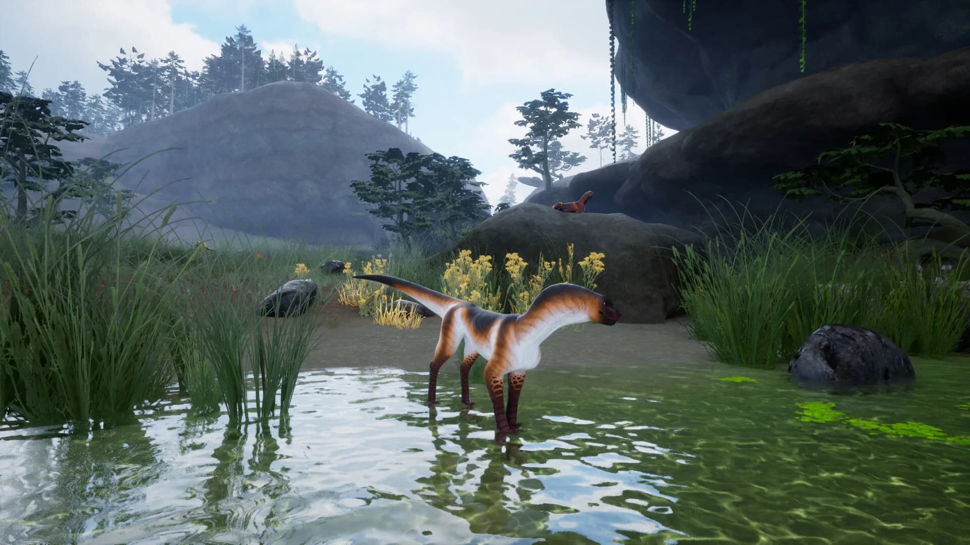 Untamed görsel 7