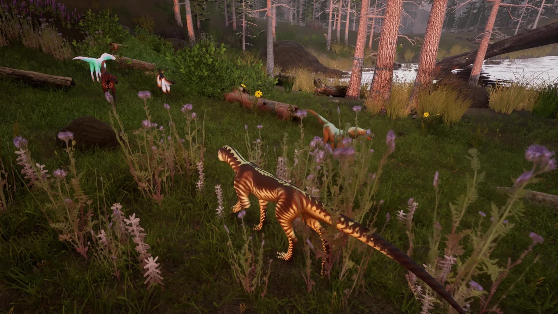 Untamed görsel 8