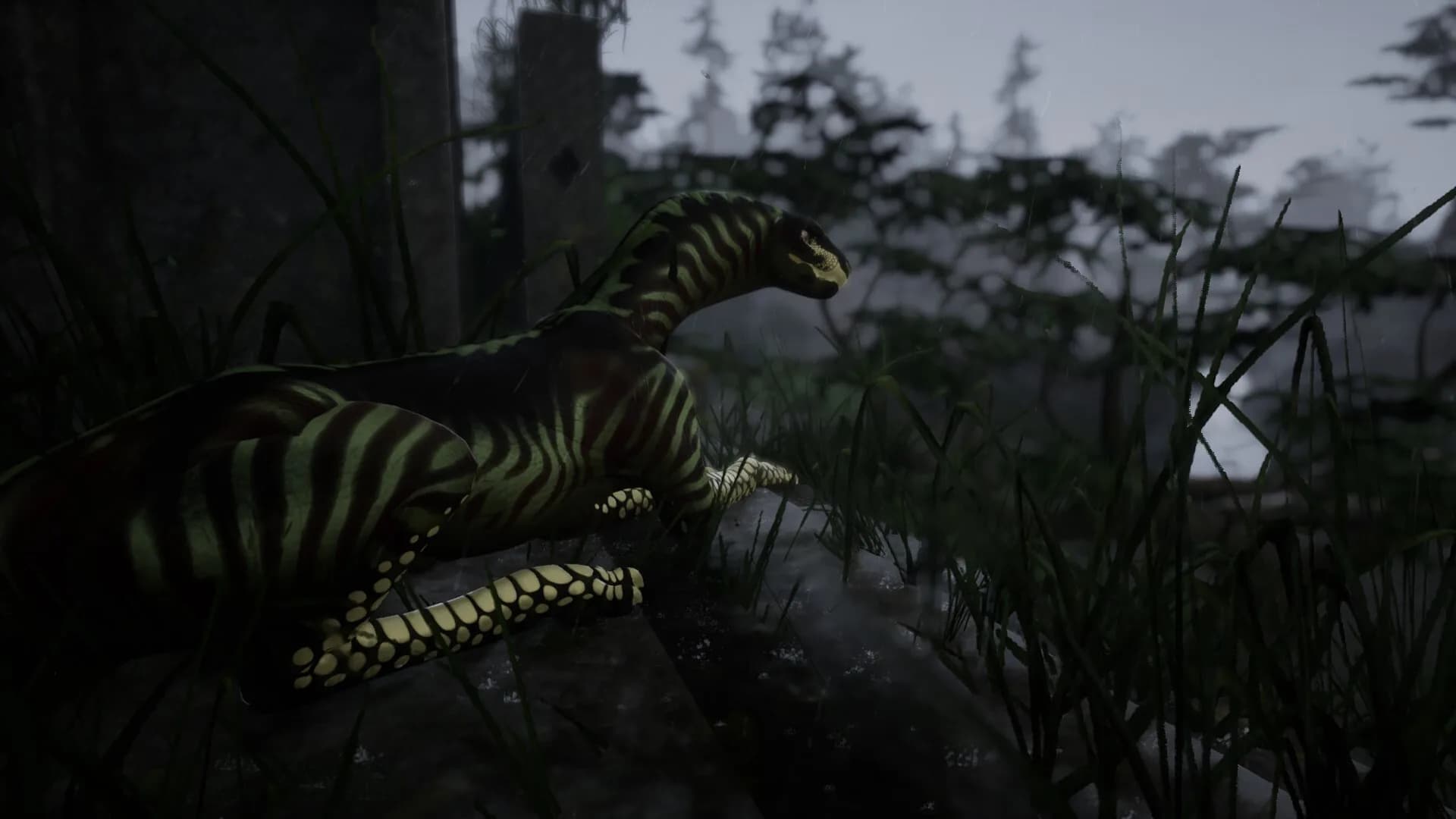 Untamed görsel 9