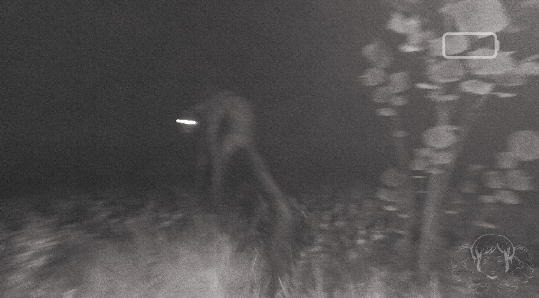 CONTORTED görsel 3