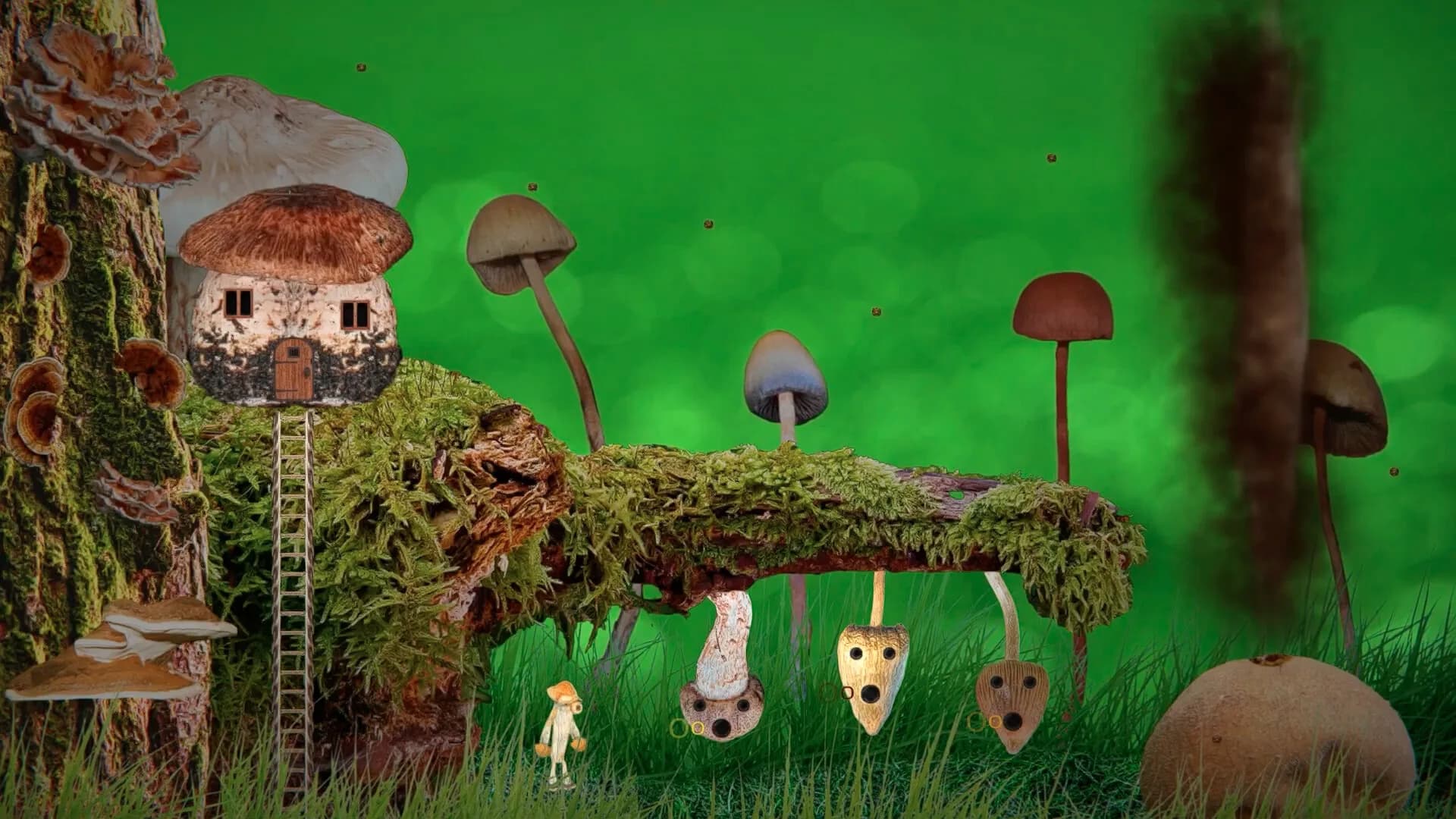 FungEye görsel 2