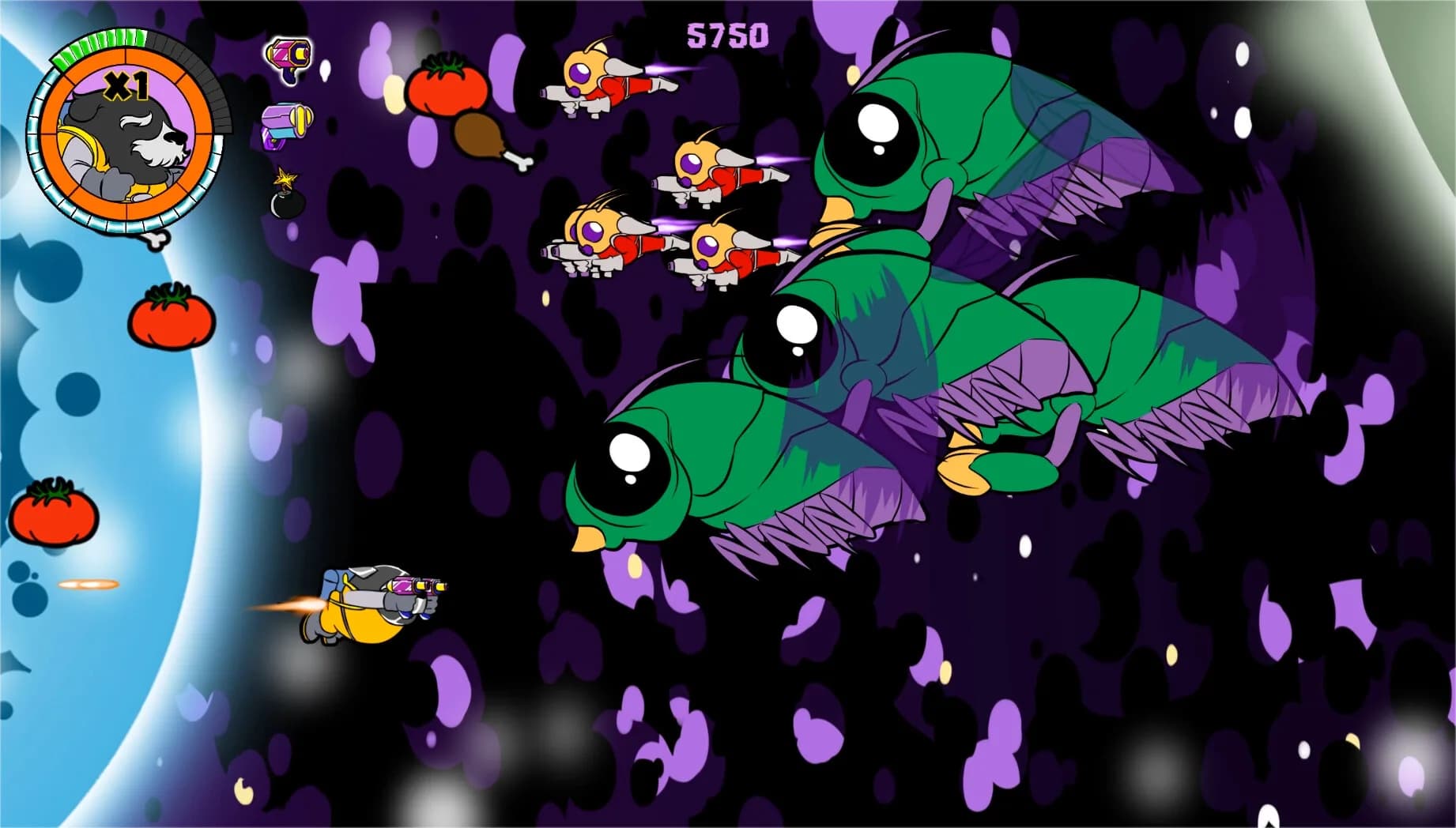 SPACE DOGO görsel 7