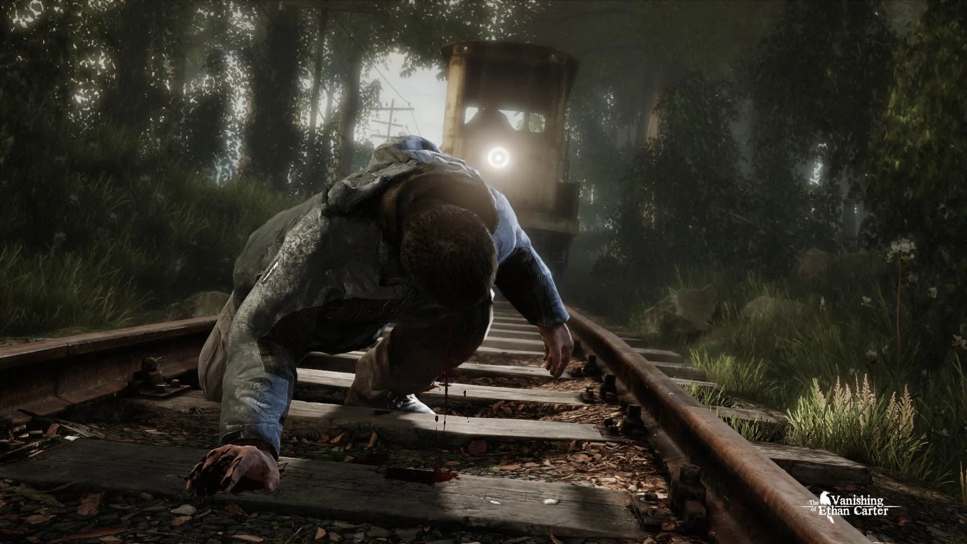 The Vanishing of Ethan Carter görsel 2