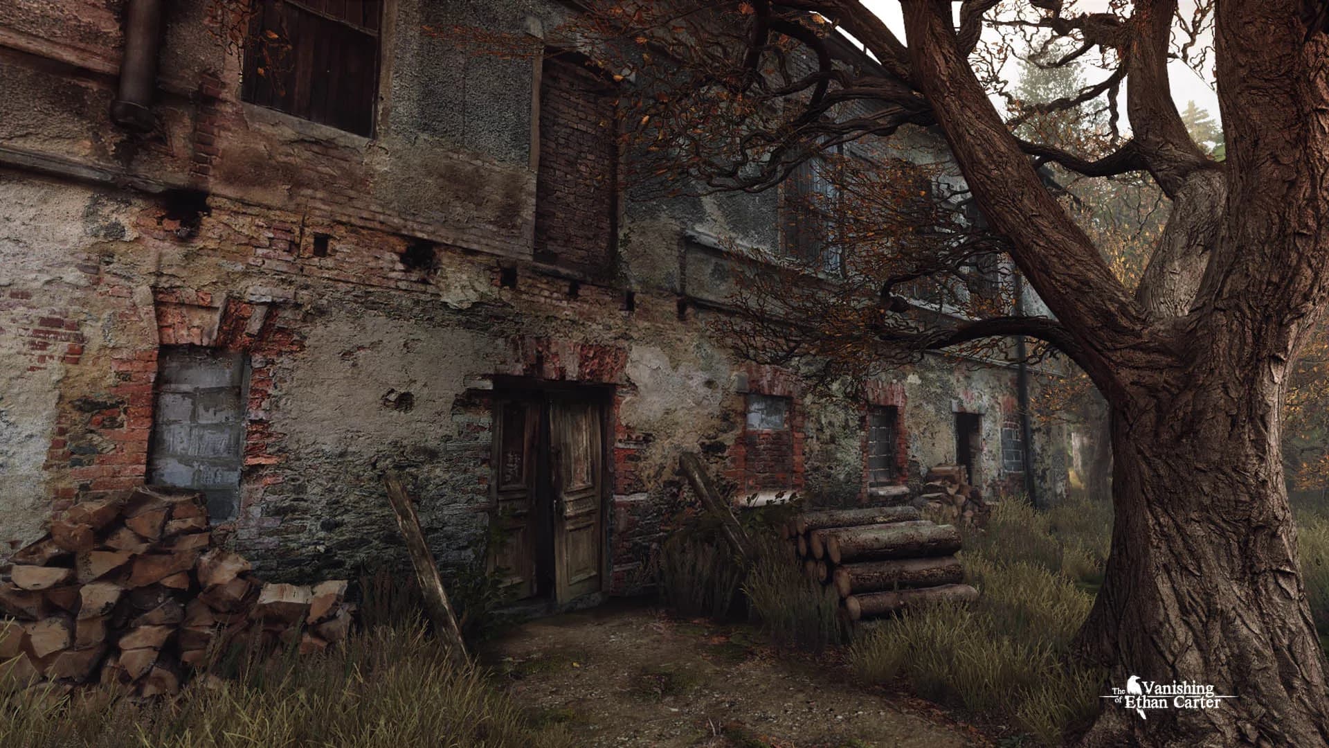The Vanishing of Ethan Carter görsel 3