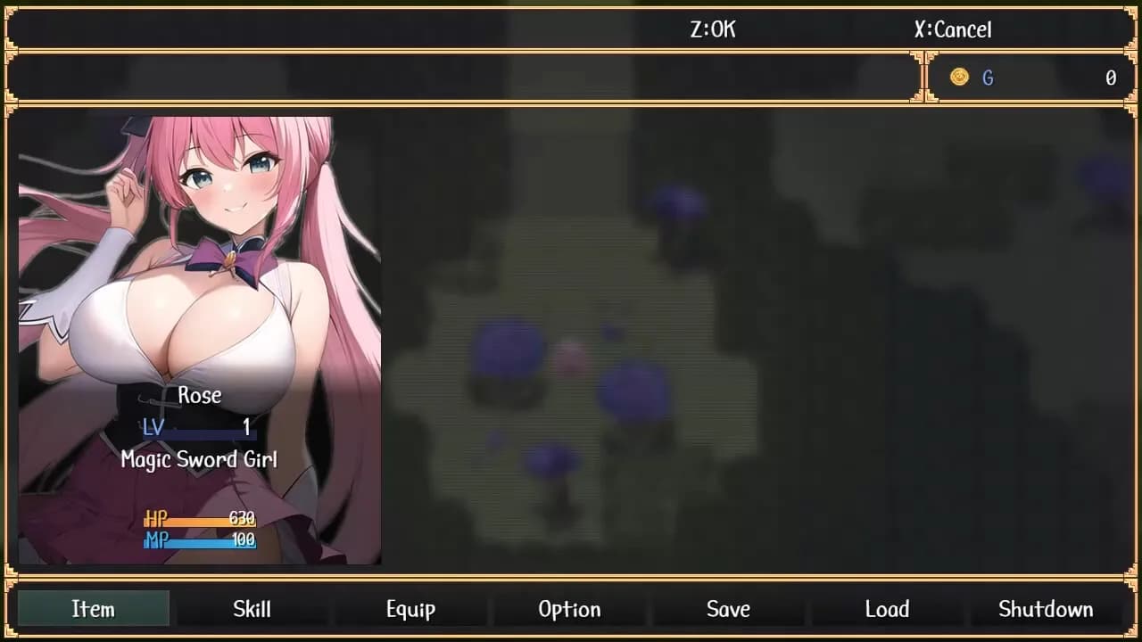 Magic Sword Girl Twins görsel 6
