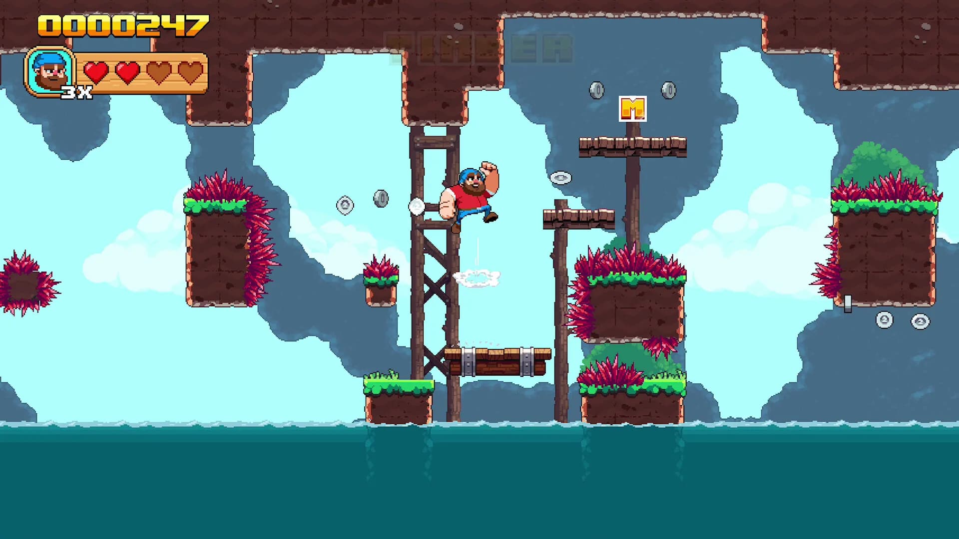 Timberman: The Big Adventure görsel 3
