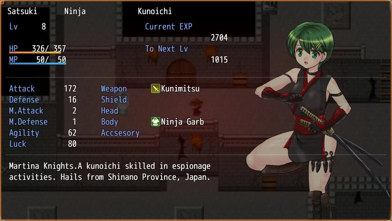 Temple Knight Saga -Oath of the Knight's Sword- görsel 3