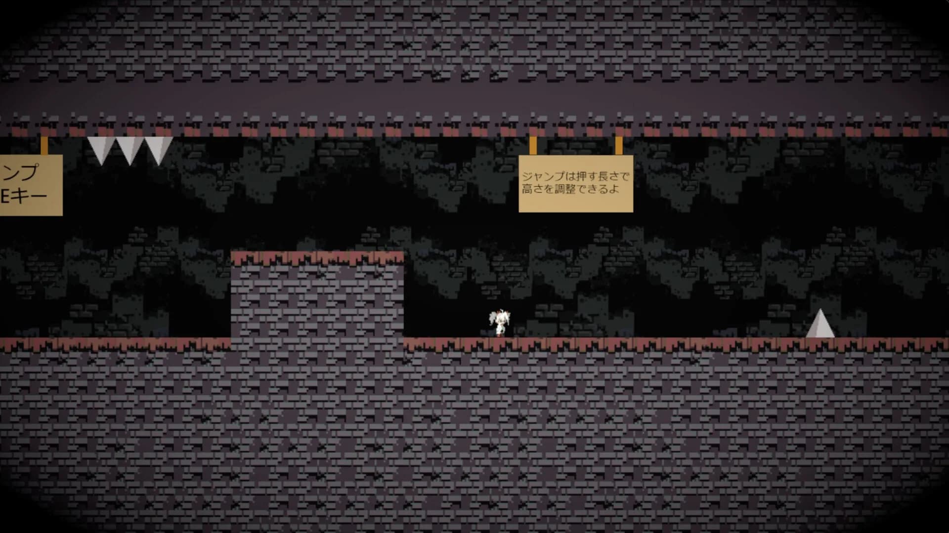 Infernal Cave görsel 6