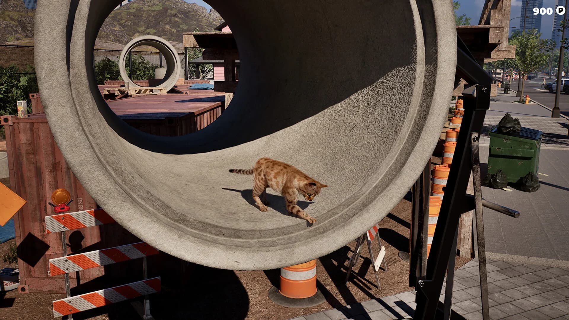 Cat Life Simulator görsel 8