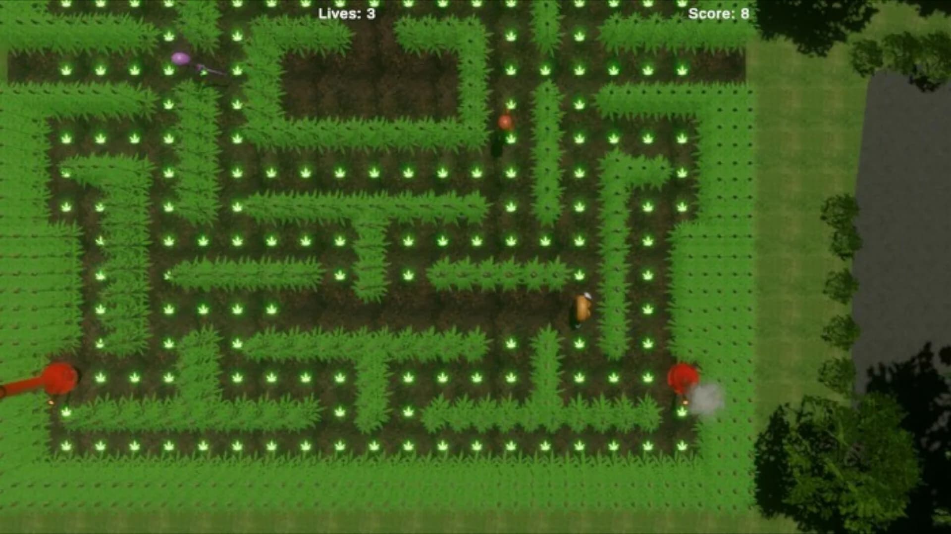 Weedy's World görsel 5