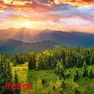 Robot görsel 7