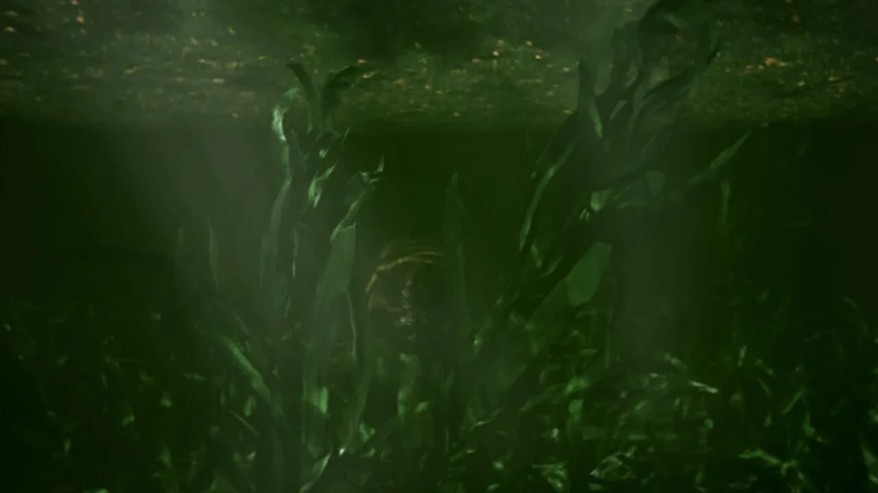 Obscurum görsel 5