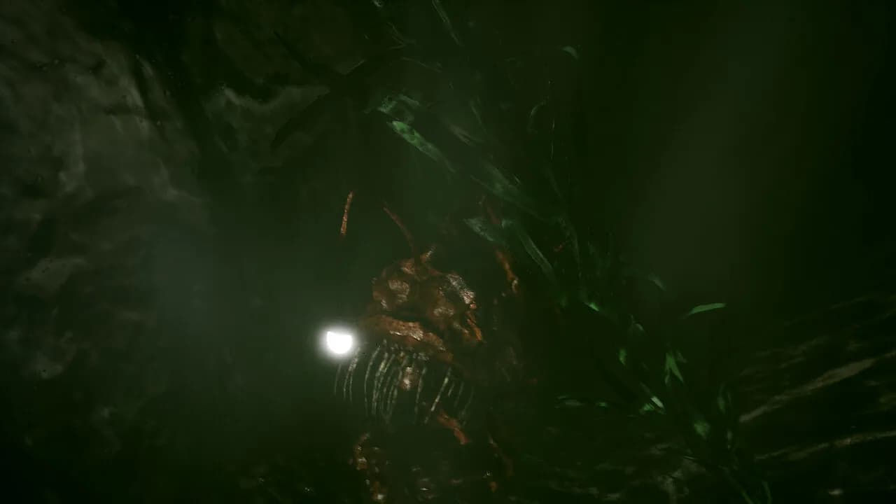 Obscurum görsel 7