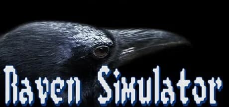 Raven Simulator görsel 1