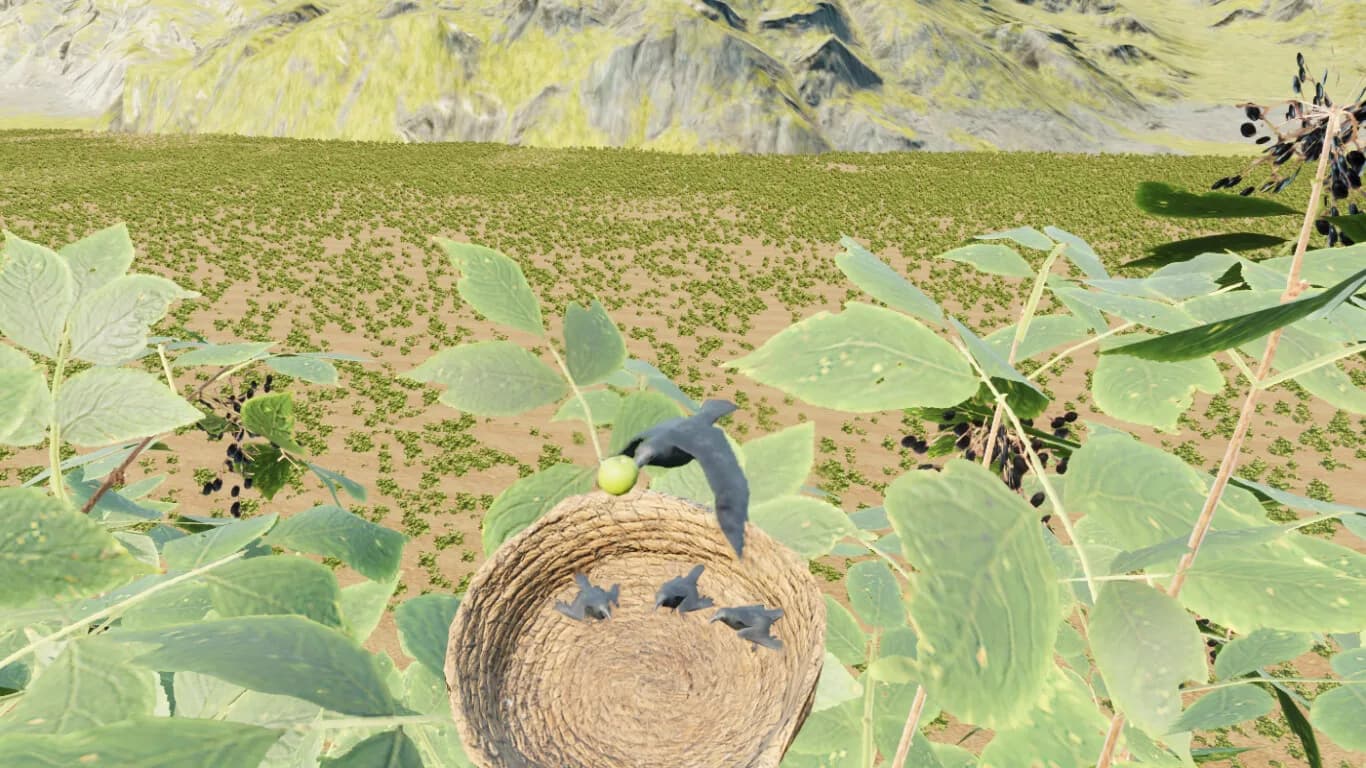 Raven Simulator görsel 3