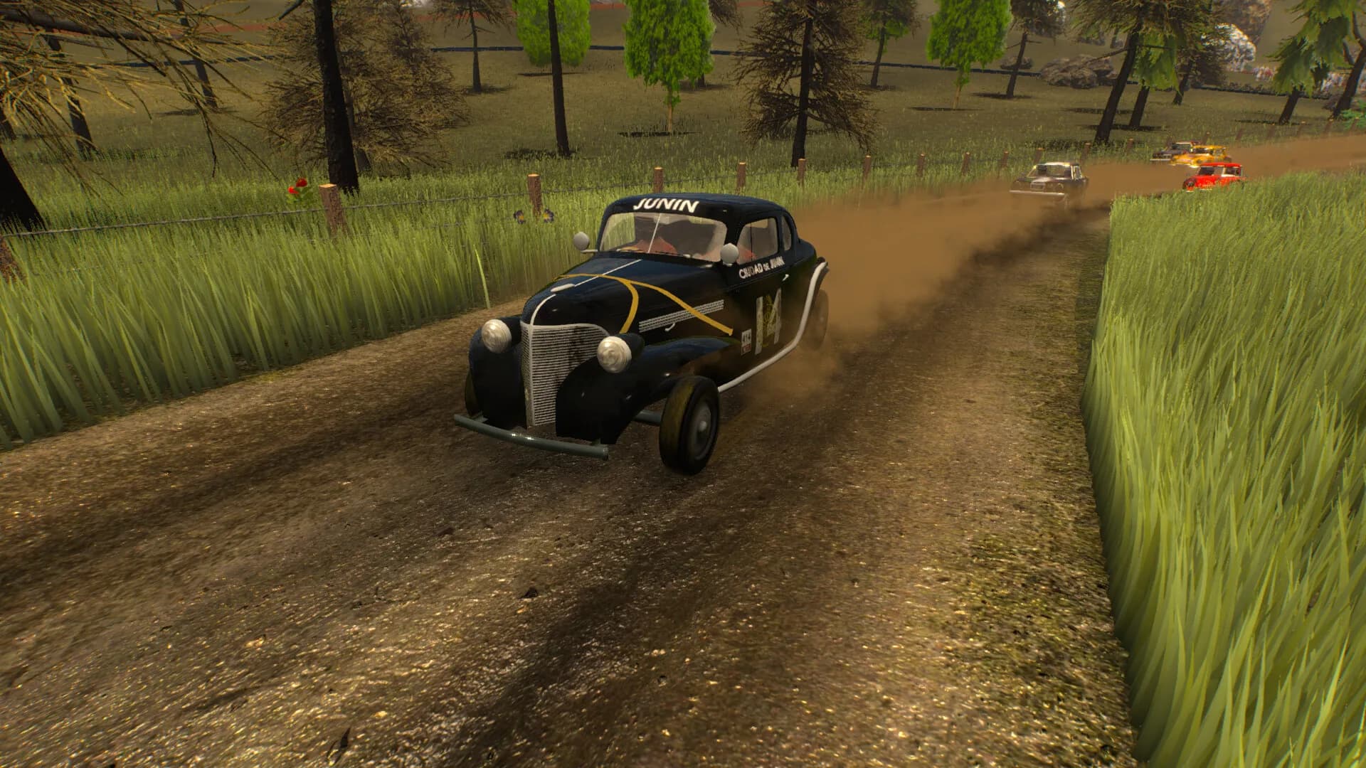Extreme Rally Raid görsel 11
