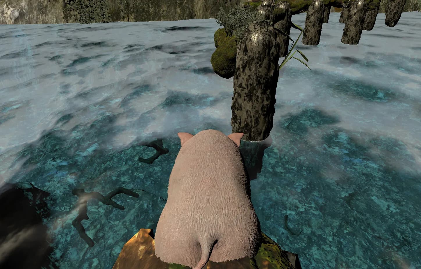 Divine Pig görsel 5