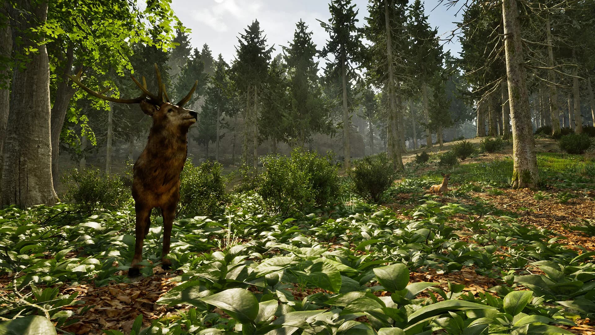 Park Ranger Simulator görsel 10