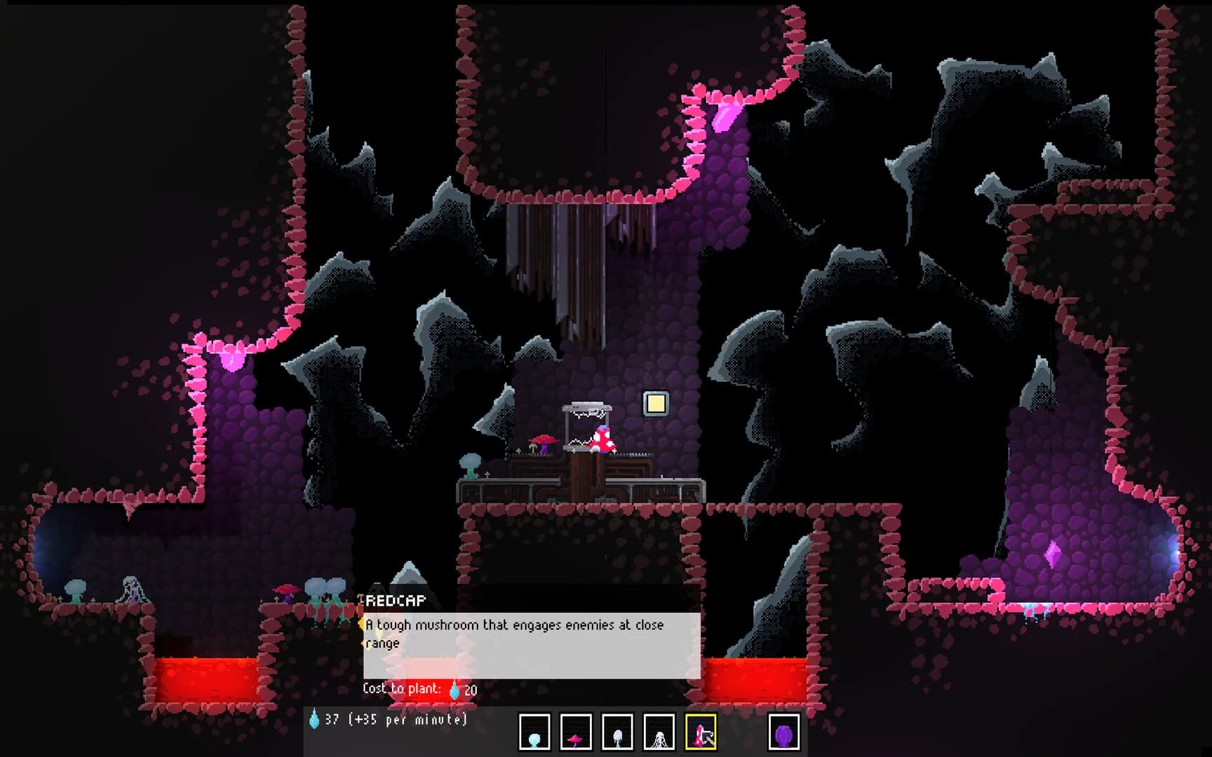 Xenomycology görsel 2