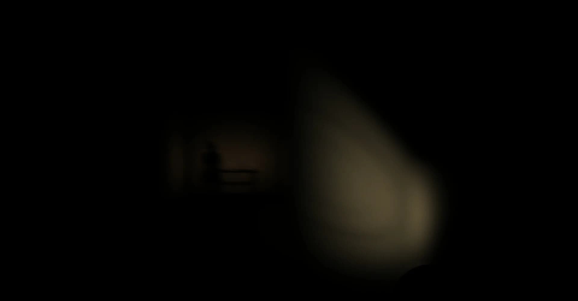 Parasomnum görsel 12