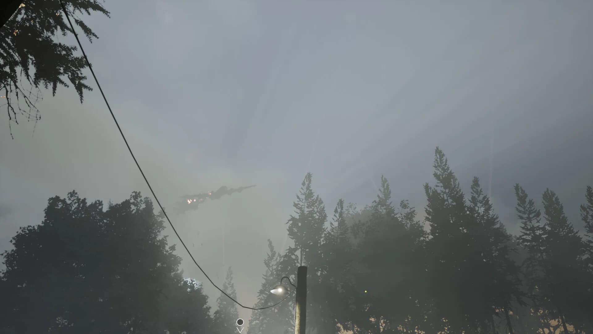 Aviators görsel 4